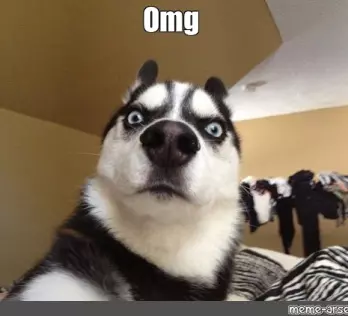 Perro OMG meme